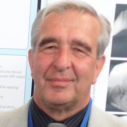 Jan Vlach
